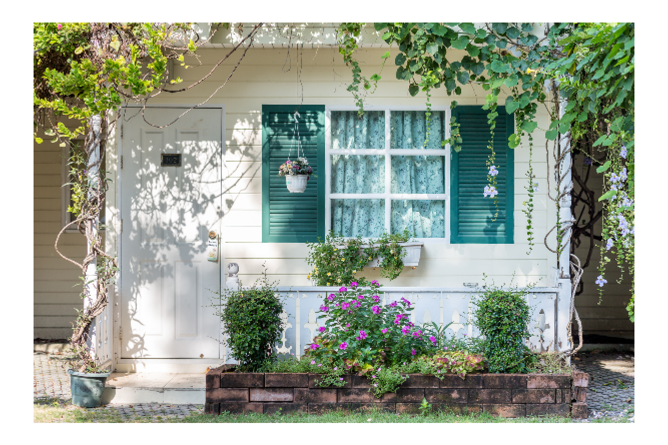 Beautiful country home with foliage