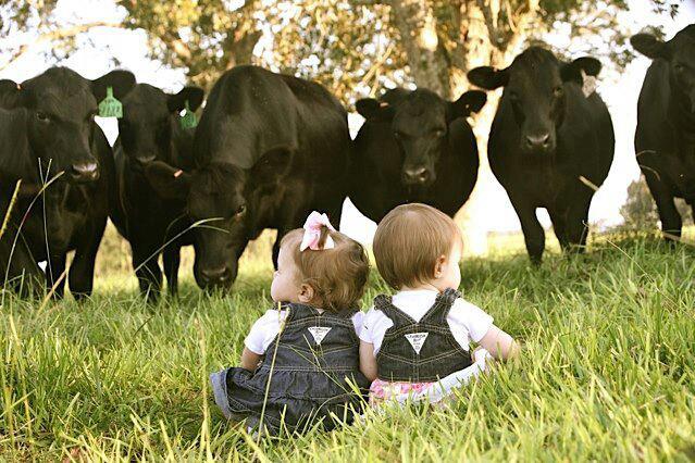 two babies in front of cows
